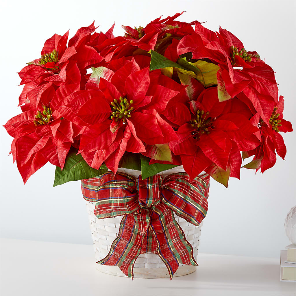 Happiest Holidays Poinsettia – SYLVIA'S FLORIST, Antioch CA