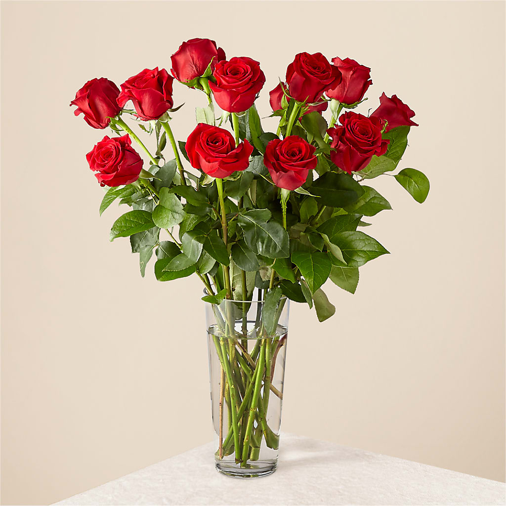 Long Stem Red Rose Bouquet – SYLVIA'S FLORIST, Antioch CA