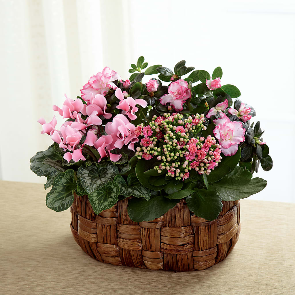 Pink Assortment – SYLVIA'S FLORIST, Antioch CA
