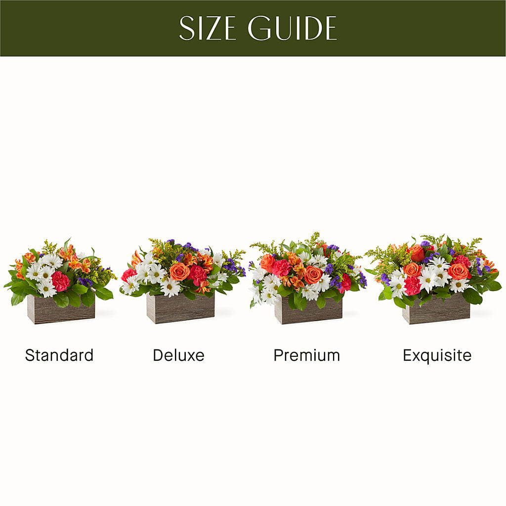 Oopsie Daisy Box Bouquet – SYLVIA'S FLORIST, Antioch CA