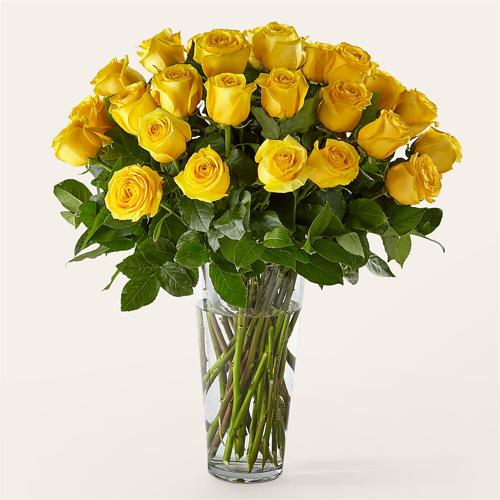 Long Stem Yellow Rose Bouquet – SYLVIA'S FLORIST, Antioch CA