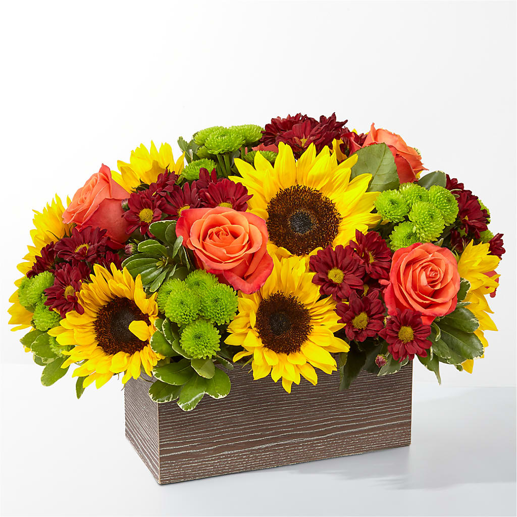 Happy Harvest Garden – SYLVIA'S FLORIST, Antioch CA