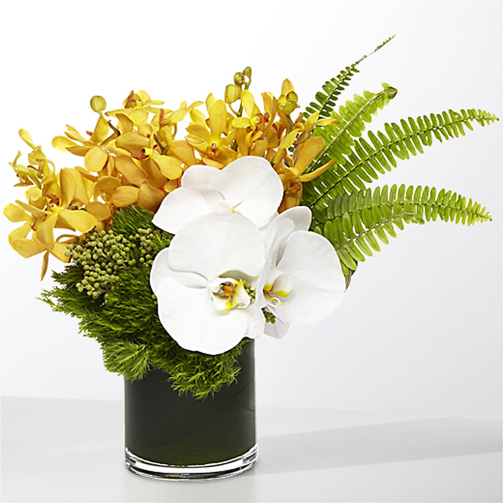The Tropics – SYLVIA'S FLORIST, Antioch CA