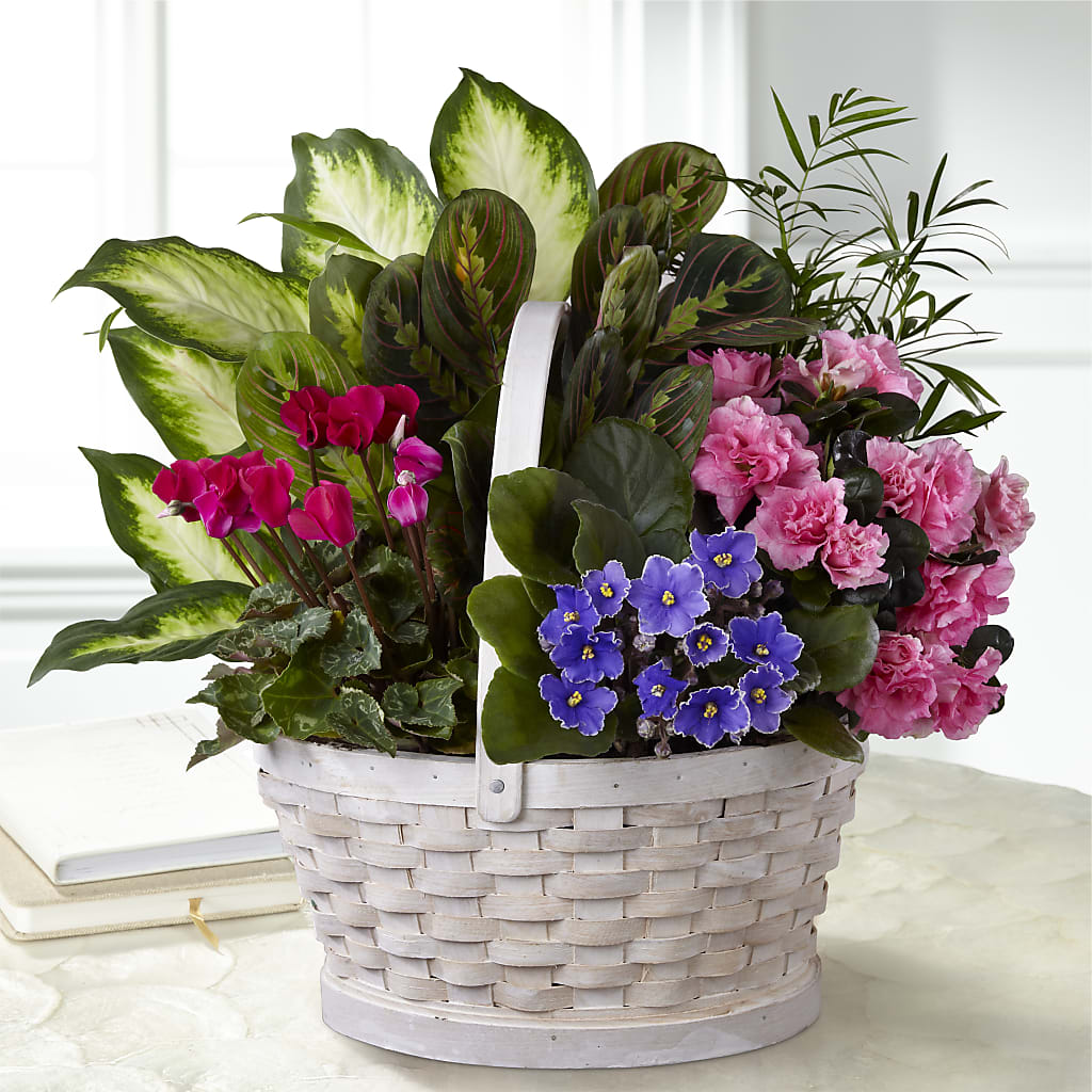 Peaceful Garden Planter – SYLVIA'S FLORIST, Antioch CA