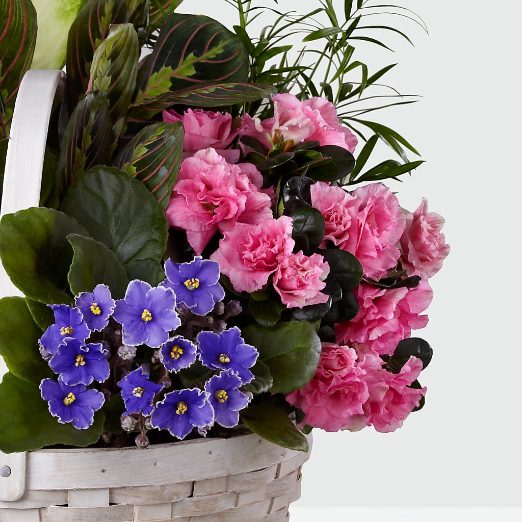 Peaceful Garden Planter – SYLVIA'S FLORIST, Antioch CA