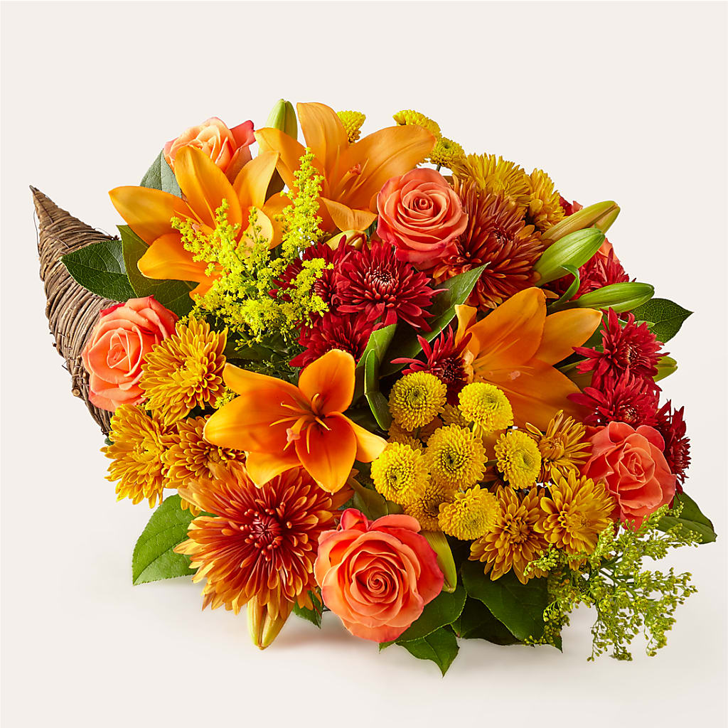 Feast of Color Cornucopia – SYLVIA'S FLORIST, Antioch CA