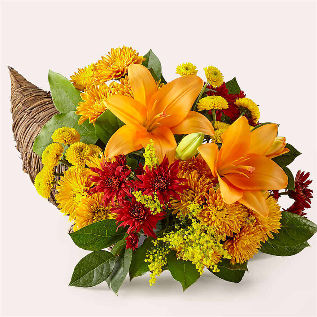 Feast of Color Cornucopia – SYLVIA'S FLORIST, Antioch CA