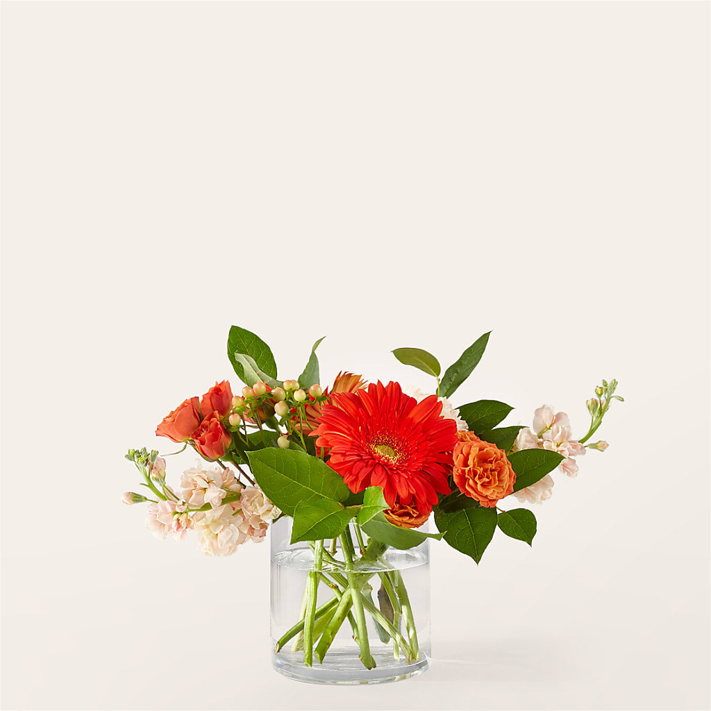 Paloma Please Bouquet – SYLVIA'S FLORIST, Antioch CA