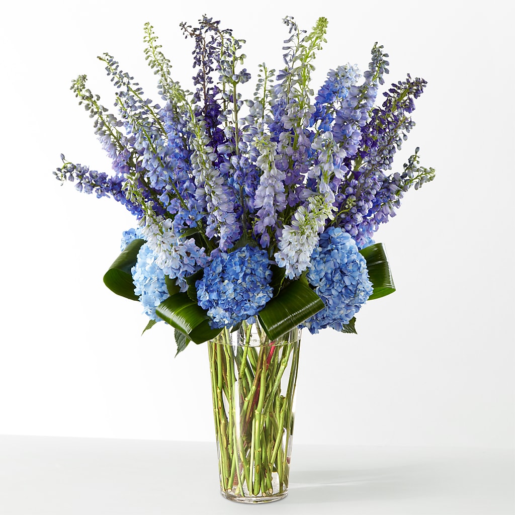 The Editorial – SYLVIA'S FLORIST, Antioch CA