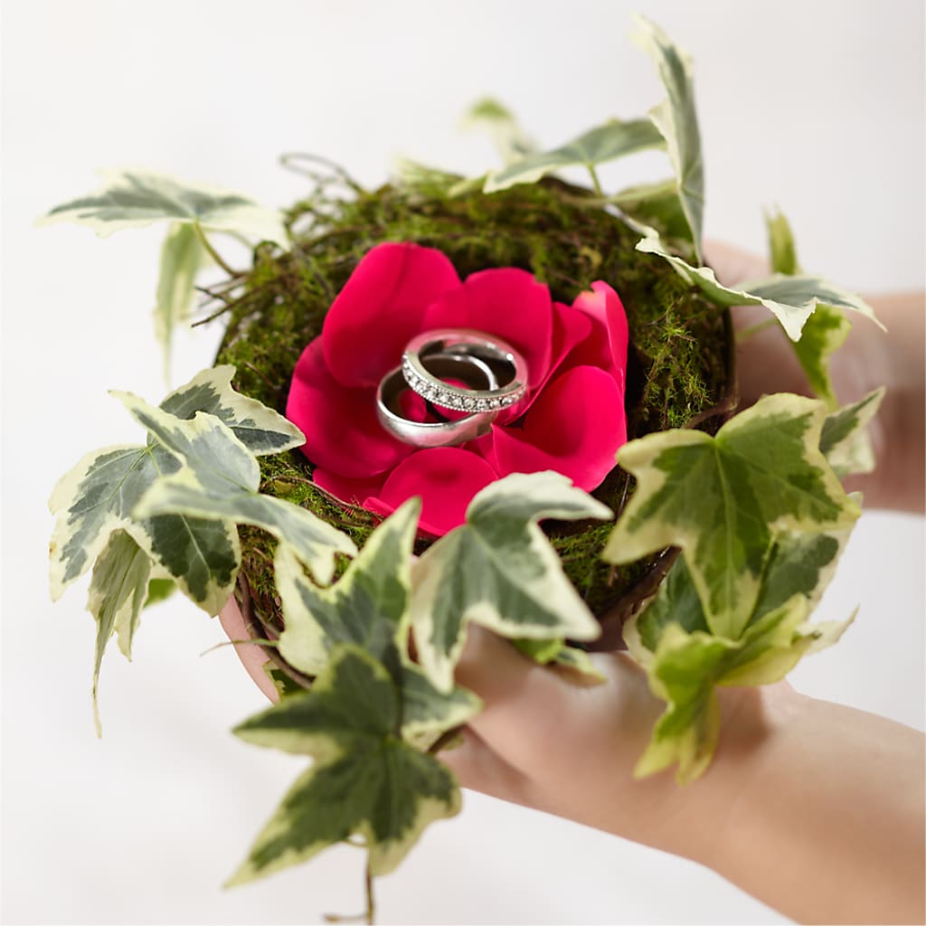 Lila Rose Ring Nest – SYLVIA'S FLORIST, Antioch CA
