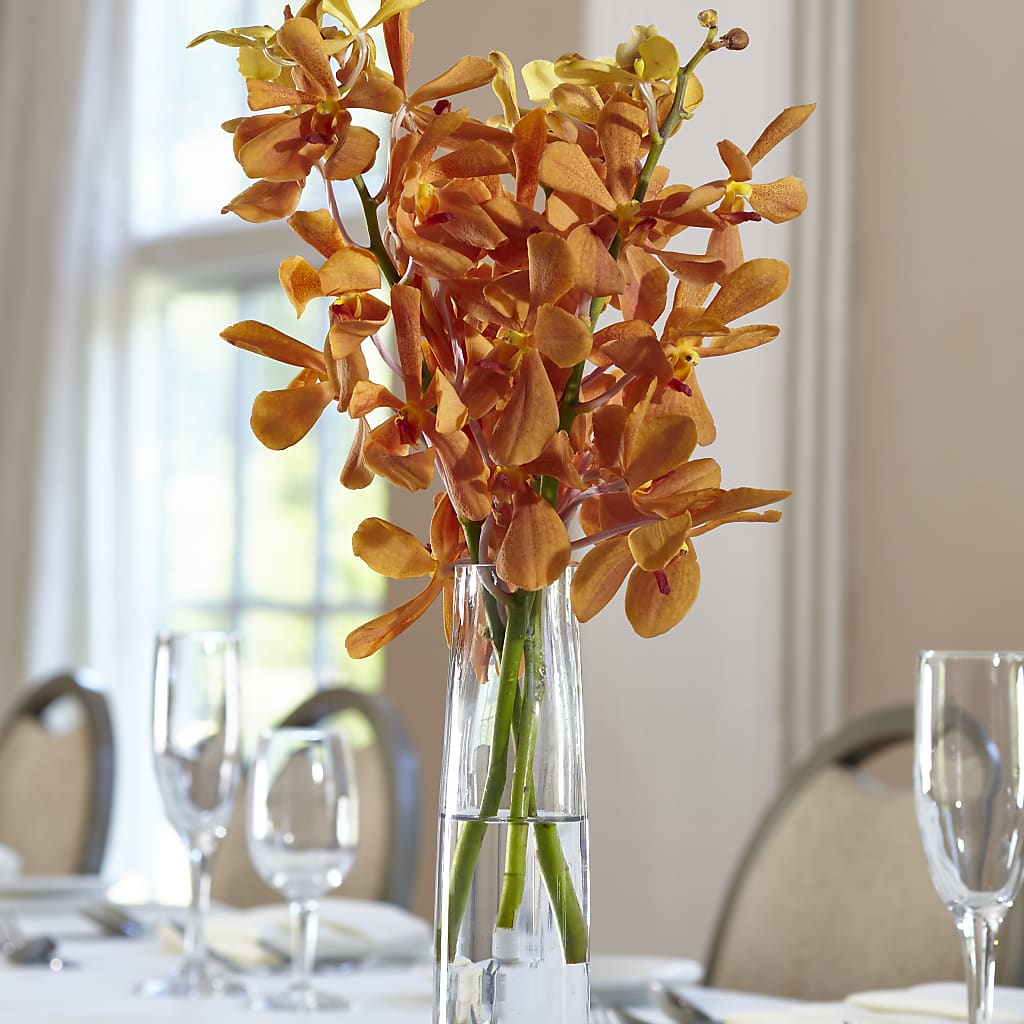 Orange Mokara Bud Vase – SYLVIA'S FLORIST, Antioch CA