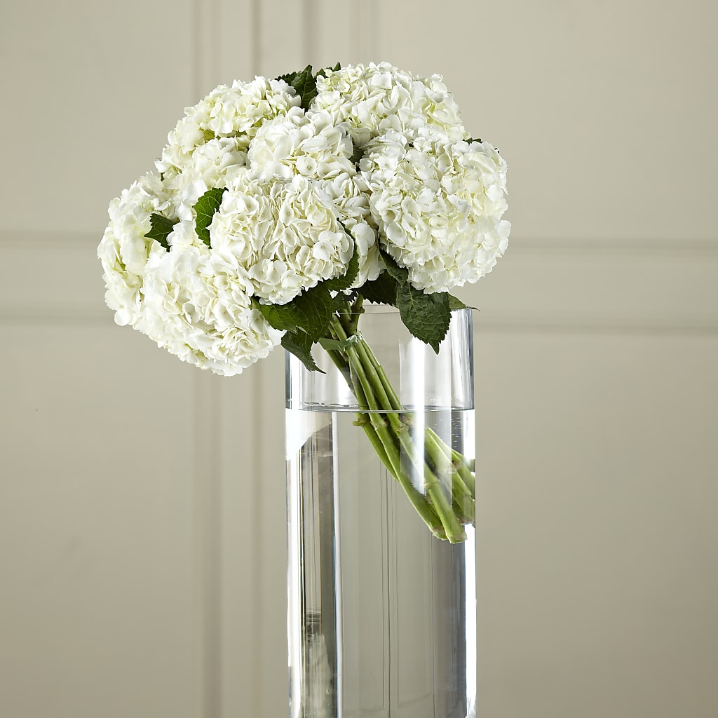 White Hydrangea Hand-Tied Bouquet – SYLVIA'S FLORIST, Antioch CA