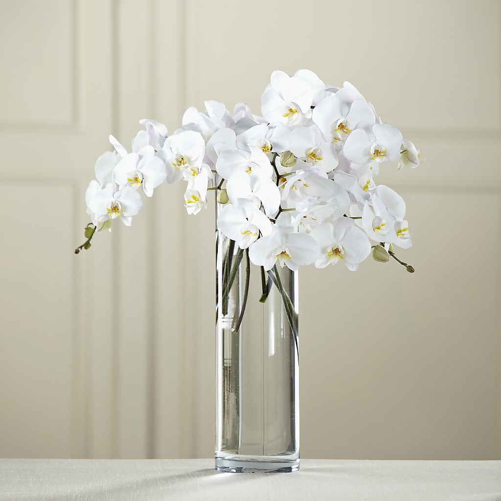 White Phalaenopsis Bouquet – SYLVIA'S FLORIST, Antioch CA