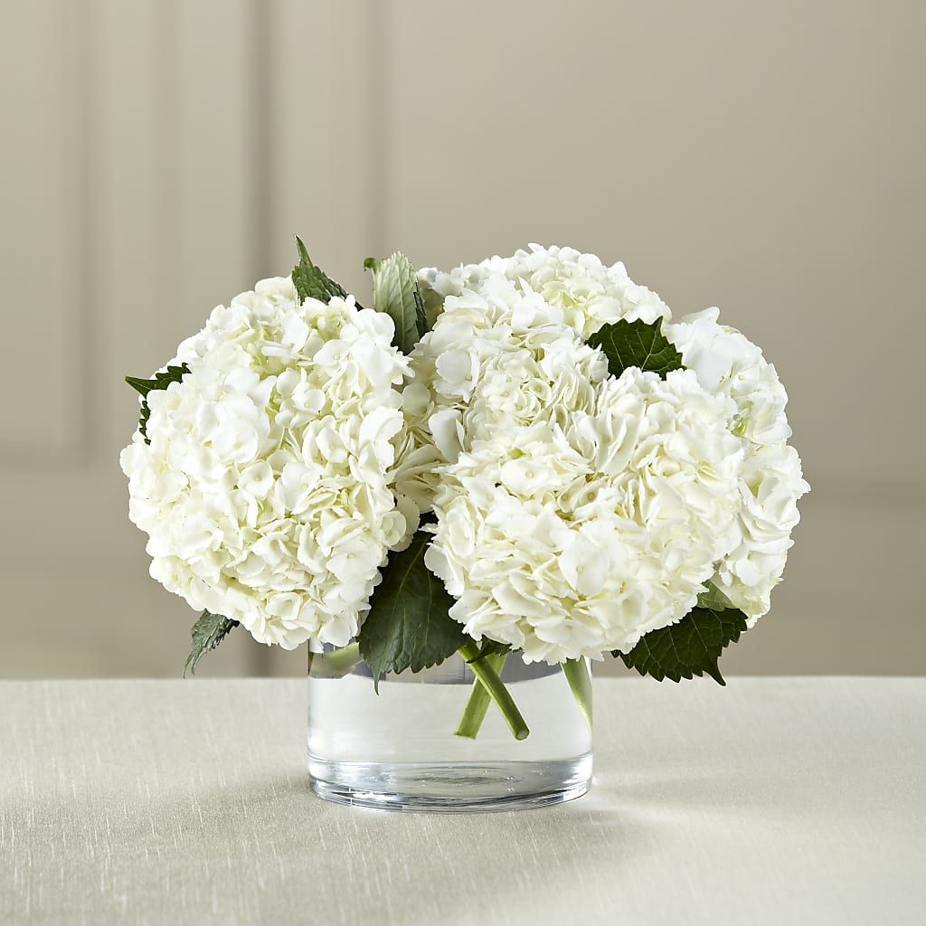 White Hydrangea Bouquet – SYLVIA'S FLORIST, Antioch CA