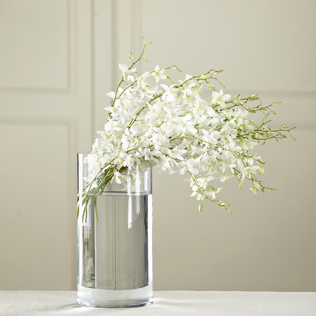 White Dendrobium Bouquet – SYLVIA'S FLORIST, Antioch CA