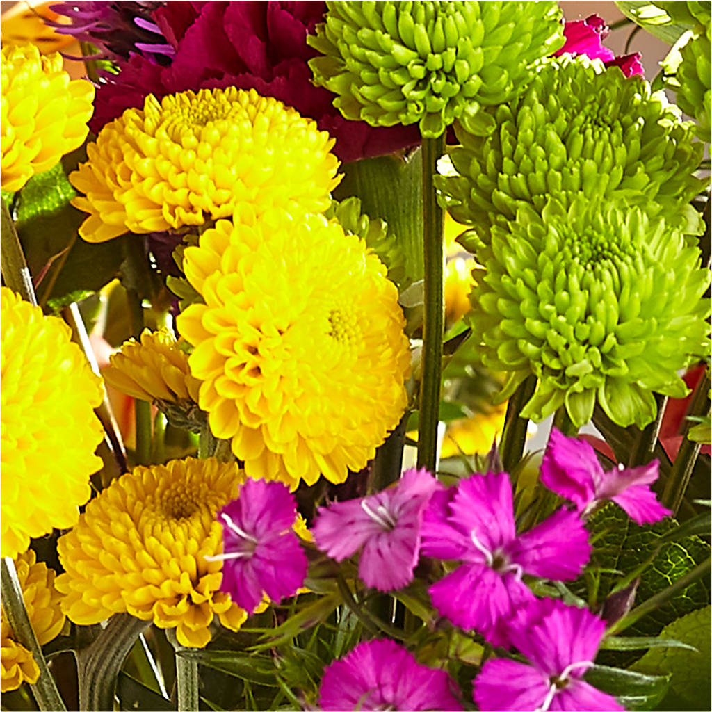 Bold & Bright – A Florist Original – SYLVIA'S FLORIST, Antioch CA