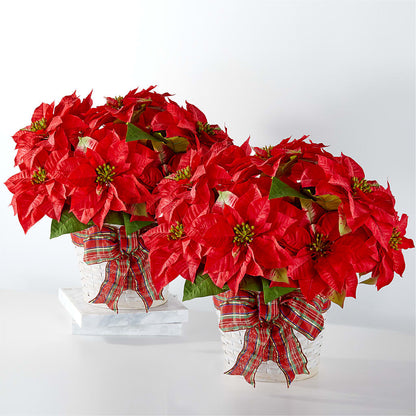 Happiest Holidays Poinsettia Bundle – SYLVIA'S FLORIST, Antioch CA