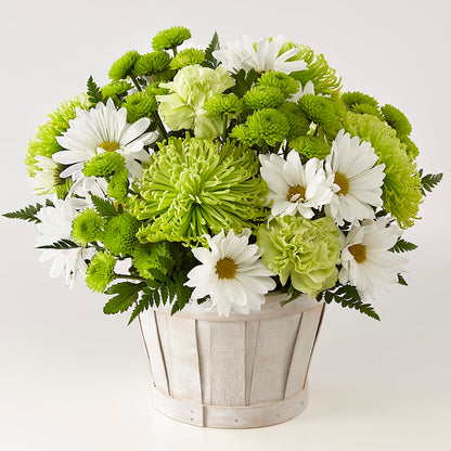 Lucky Charm Basket (Standard) – SYLVIA'S FLORIST, Antioch CA
