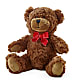 Adorable Plush Bear – SYLVIA'S FLORIST, Antioch CA