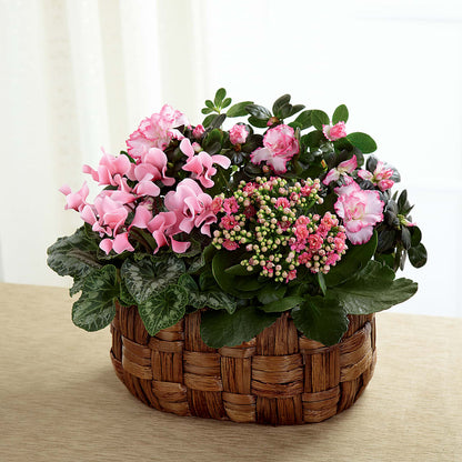 Pink Assortment – SYLVIA'S FLORIST, Antioch CA