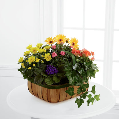 Gentle Blossoms Basket – SYLVIA'S FLORIST, Antioch CA