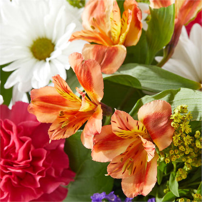 Oopsie Daisy Box Bouquet – SYLVIA'S FLORIST, Antioch CA