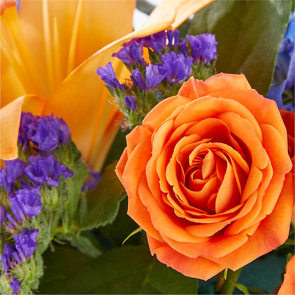 Radiant Citrus Box Bouquet – SYLVIA'S FLORIST, Antioch CA