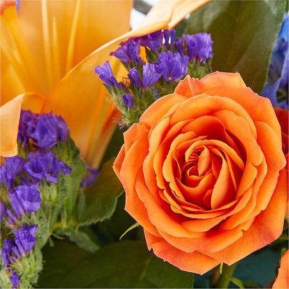 Radiant Citrus Box Bouquet – SYLVIA'S FLORIST, Antioch CA