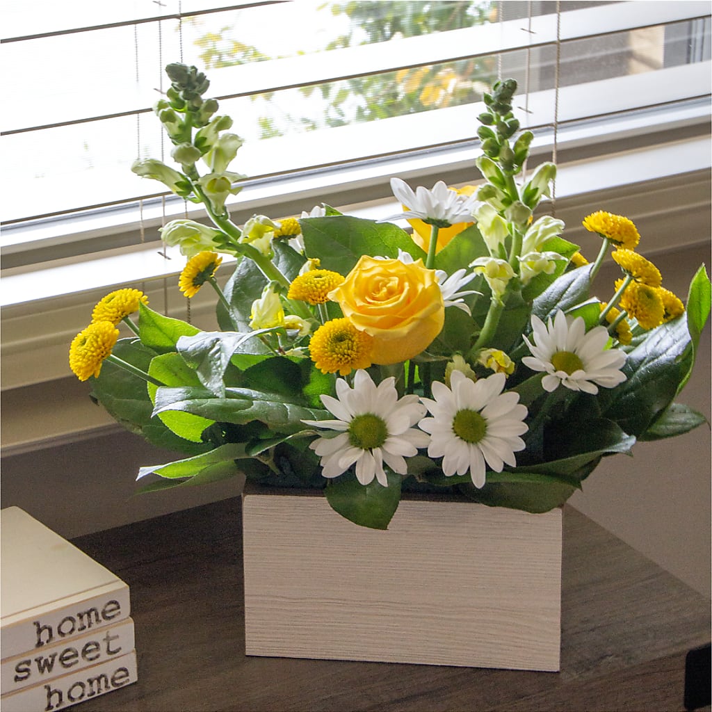 Sun Salutation Box Bouquet – SYLVIA'S FLORIST, Antioch CA