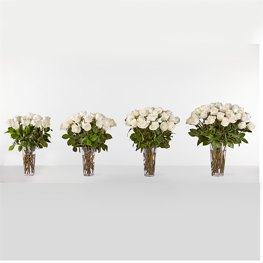 Long Stem White Rose Bouquet – SYLVIA'S FLORIST, Antioch CA