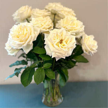 Long Stem Yellow Rose Bouquet – SYLVIA'S FLORIST, Antioch CA