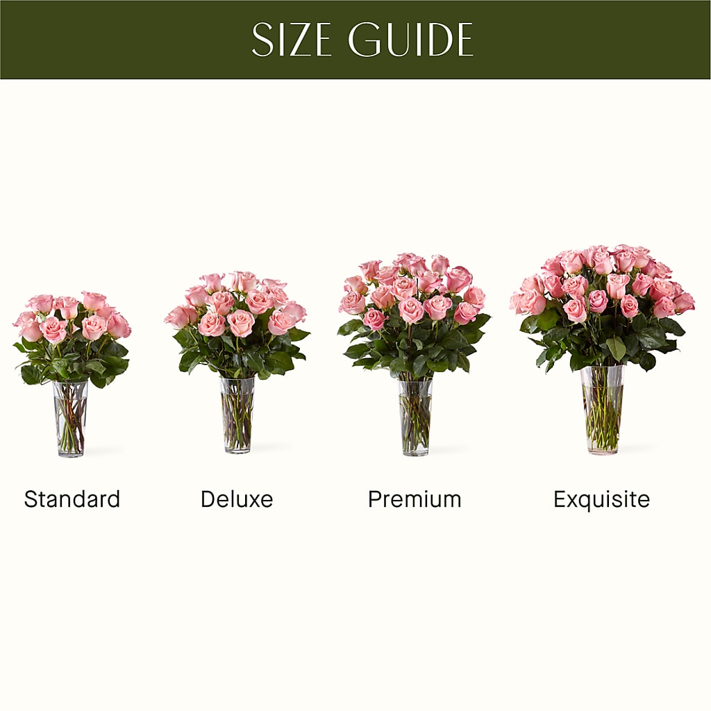 Long Stem Pink Rose Bouquet – SYLVIA'S FLORIST, Antioch CA
