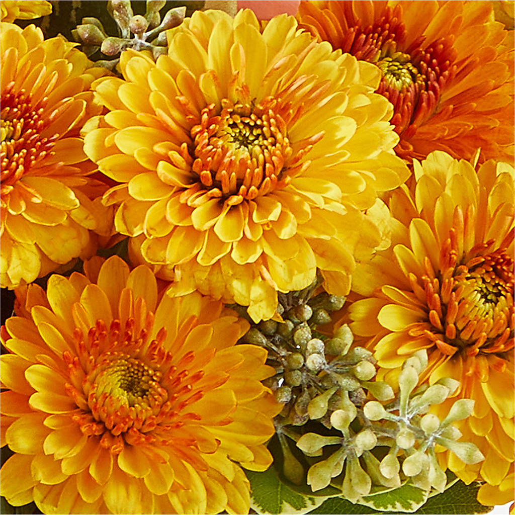 Peachy Pumpkin – SYLVIA'S FLORIST, Antioch CA