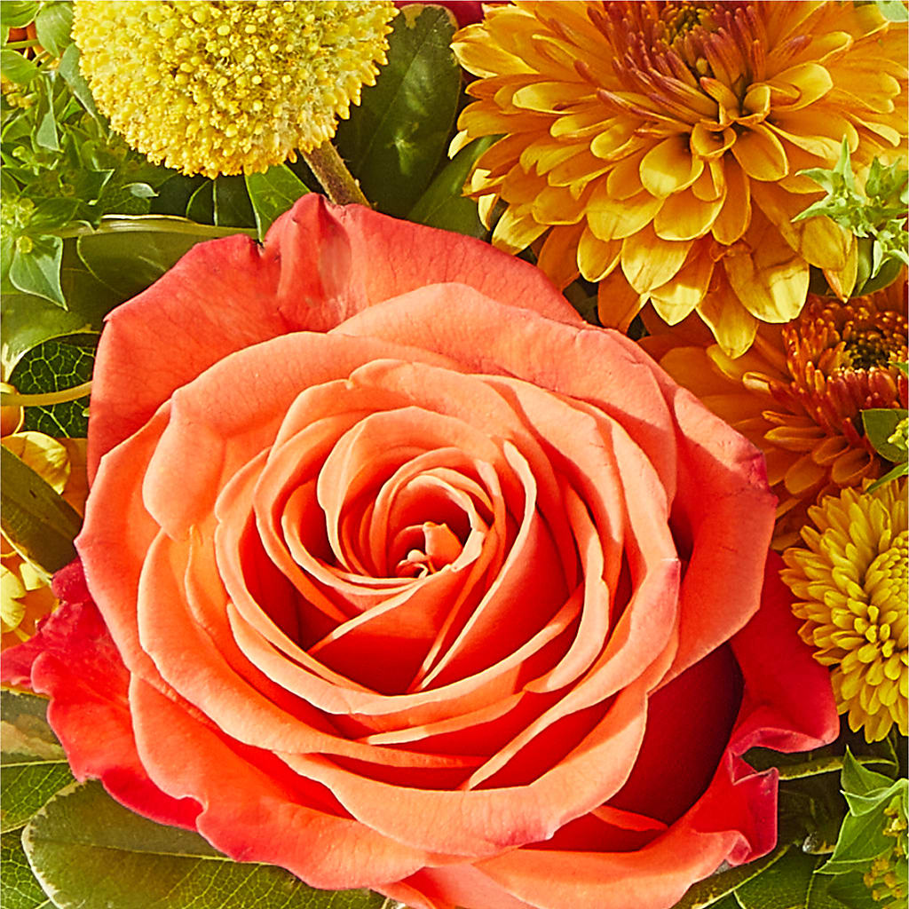 Gourdgeous Pumpkin – SYLVIA'S FLORIST, Antioch CA