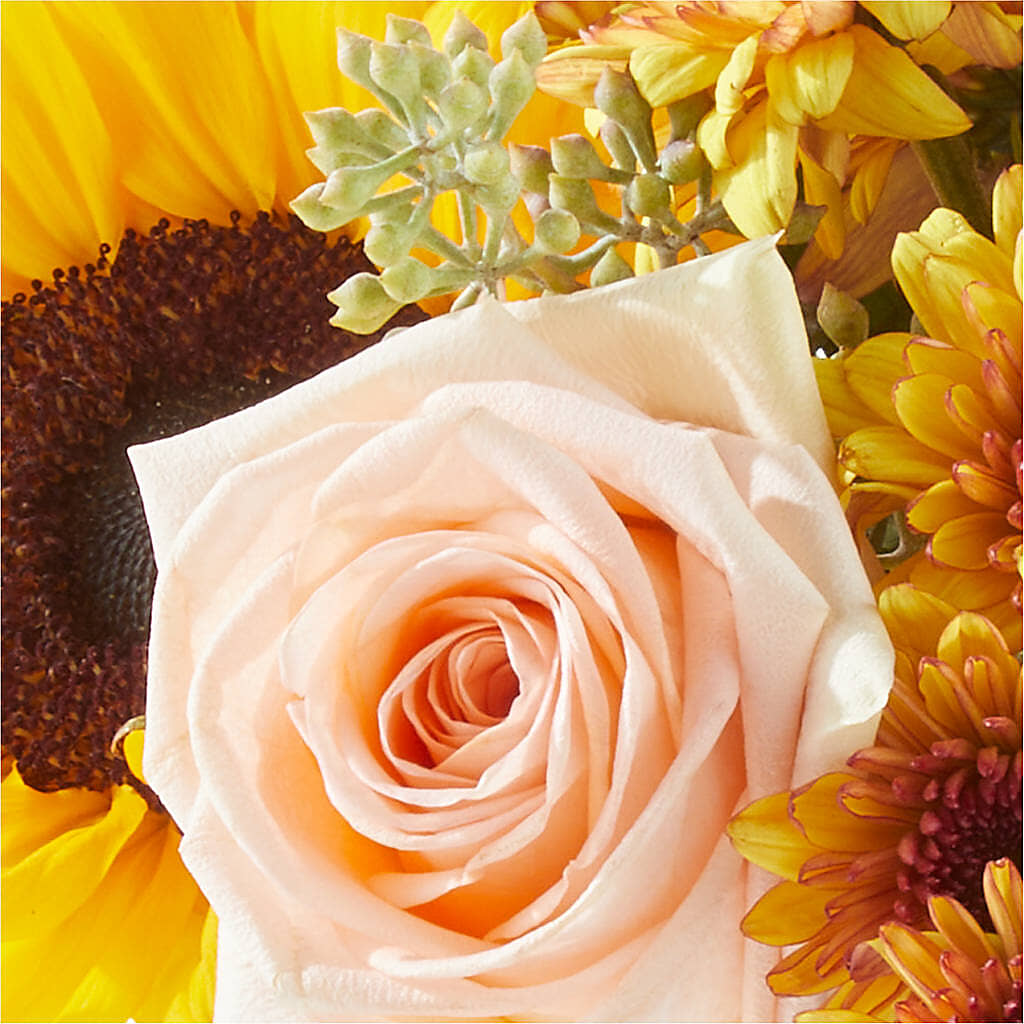 Pumpkin to Talk About Bouquet – SYLVIA'S FLORIST, Antioch CA