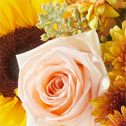 Pumpkin to Talk About Bouquet – SYLVIA'S FLORIST, Antioch CA