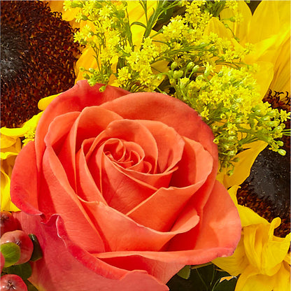 Pick of the Patch Pumpkin Bouquet – SYLVIA'S FLORIST, Antioch CA