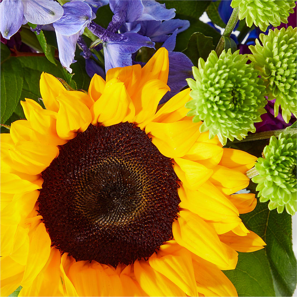 Catching Rays Bouquet – SYLVIA'S FLORIST, Antioch CA