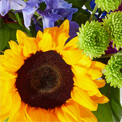Catching Rays Bouquet – SYLVIA'S FLORIST, Antioch CA