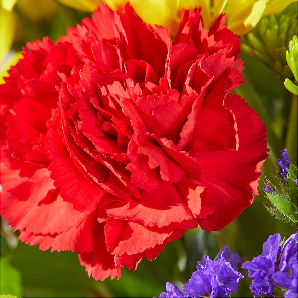 Brighter Days Bouquet – SYLVIA'S FLORIST, Antioch CA