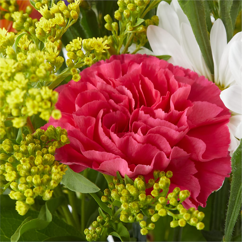 Oopsie Daisy Bouquet – SYLVIA'S FLORIST, Antioch CA