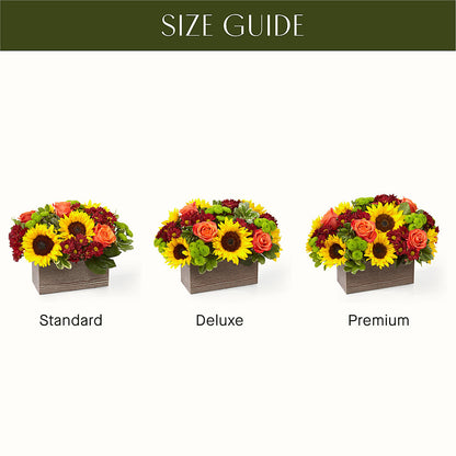 Happy Harvest Garden – SYLVIA'S FLORIST, Antioch CA