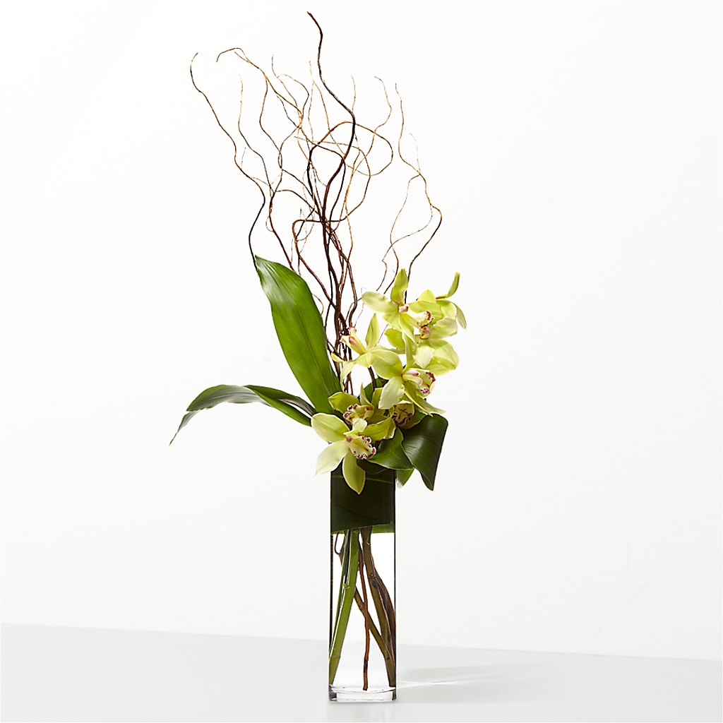 The Statement – SYLVIA'S FLORIST, Antioch CA