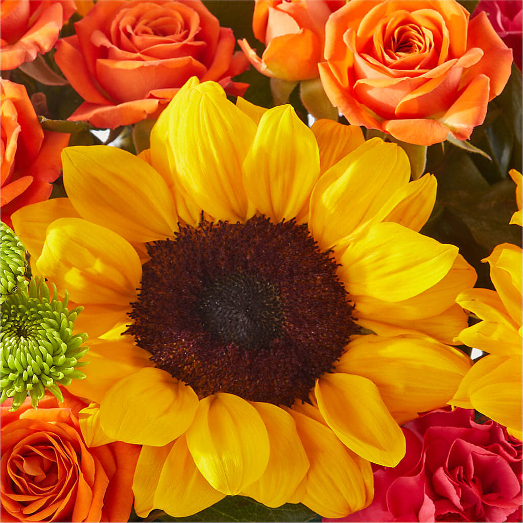 Sun-drenched Blooms Box Bouquet – SYLVIA'S FLORIST, Antioch CA