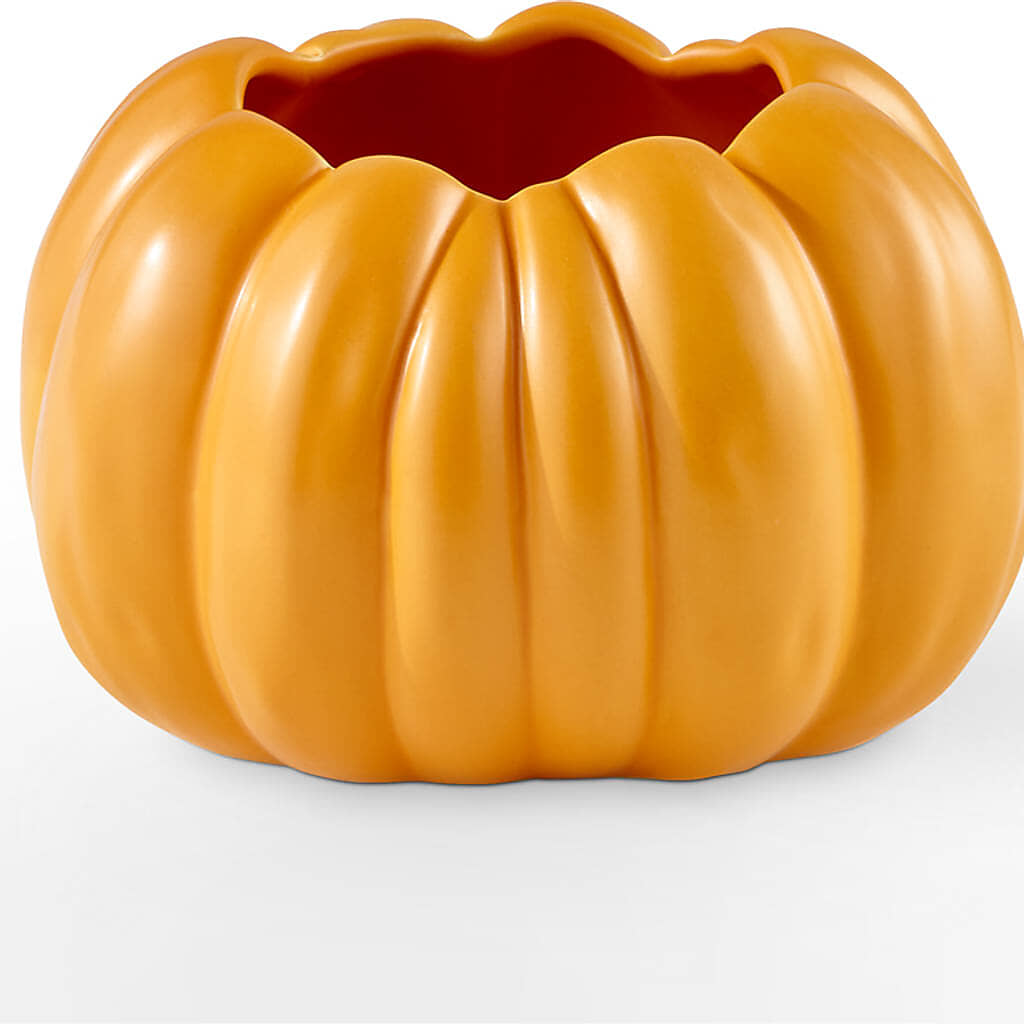 Golden Gourd Pumpkin Bouquet – SYLVIA'S FLORIST, Antioch CA