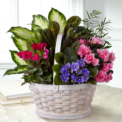 Peaceful Garden Planter – SYLVIA'S FLORIST, Antioch CA