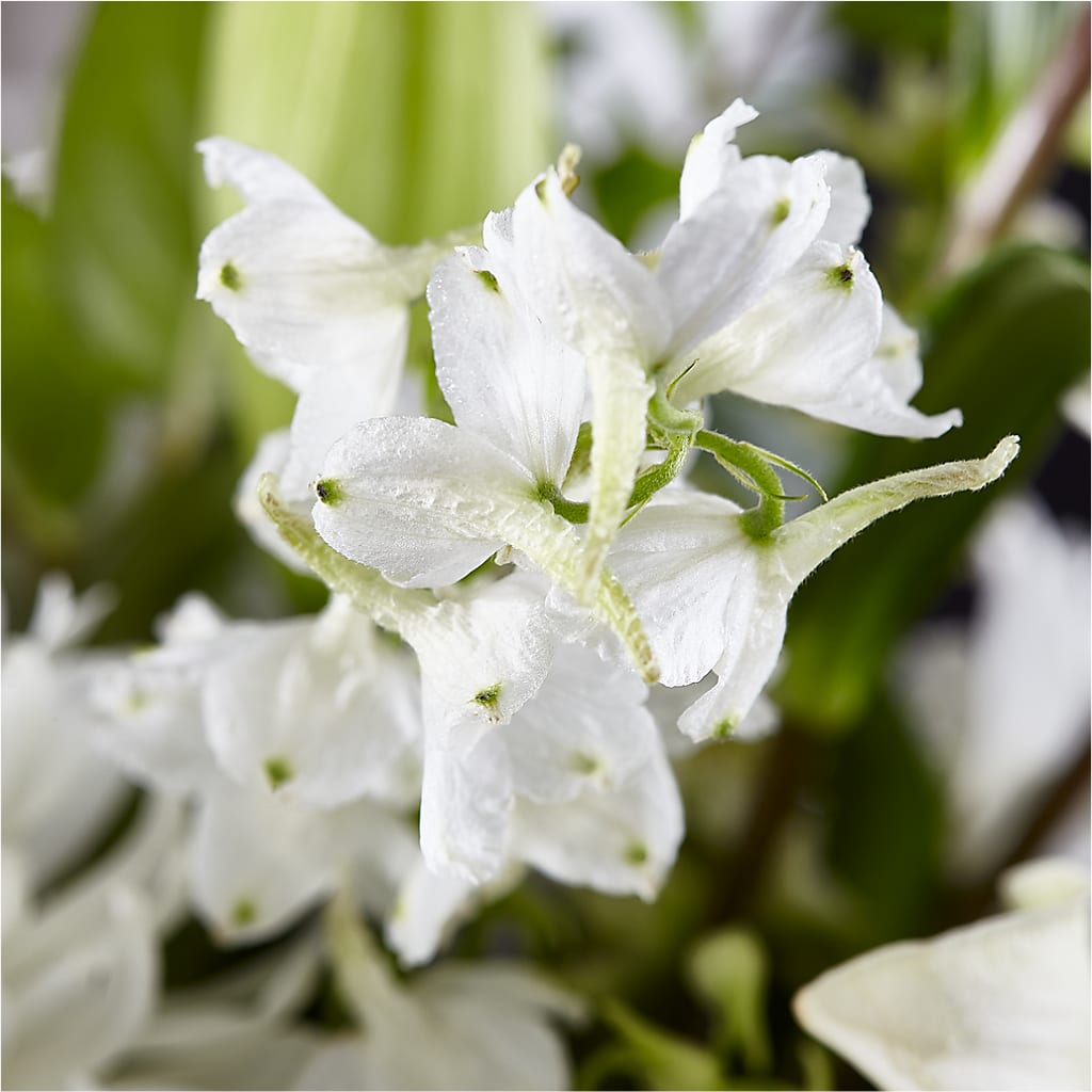 Classic Ivory – A Florist Original – SYLVIA'S FLORIST, Antioch CA