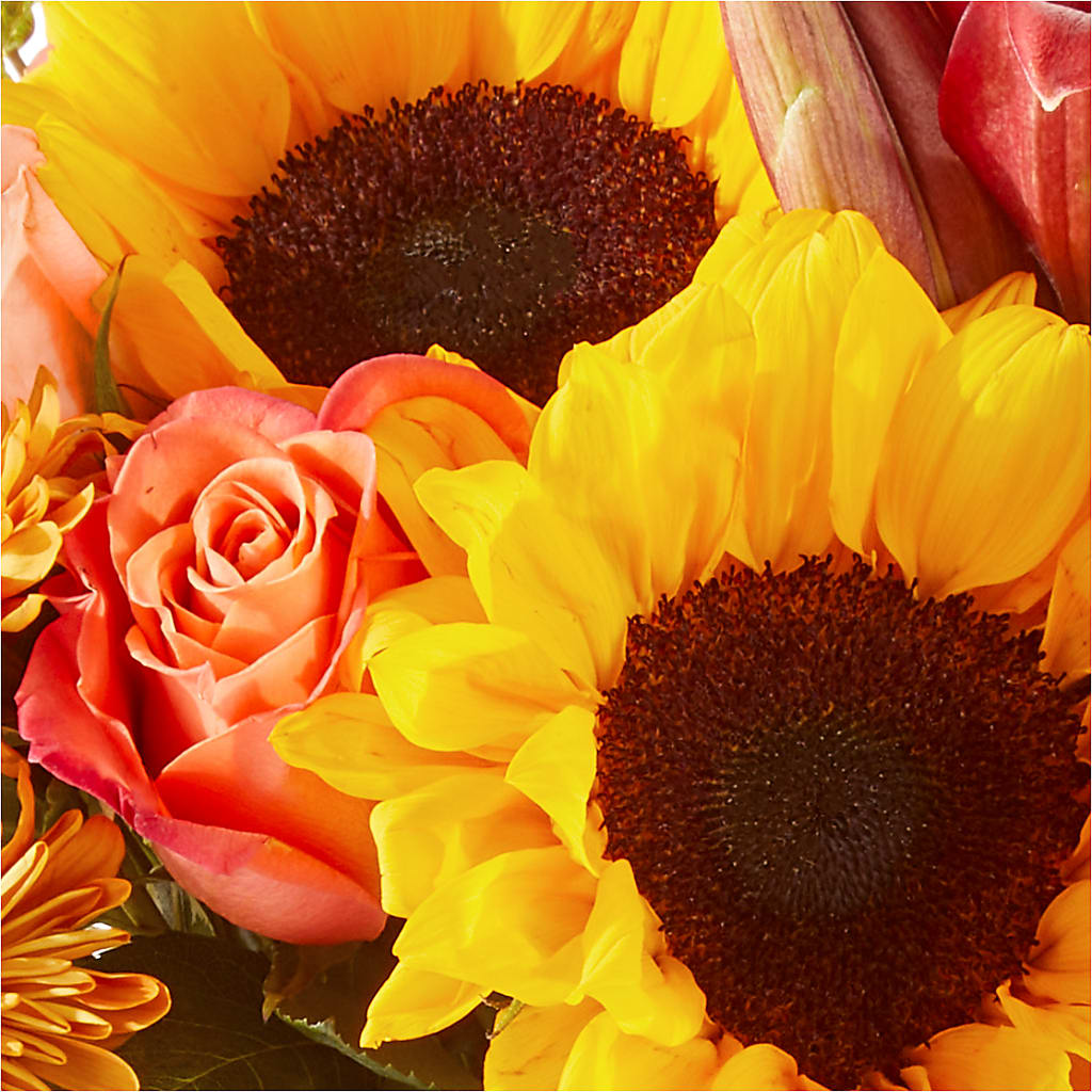 Acorn Lane Bouquet – SYLVIA'S FLORIST, Antioch CA