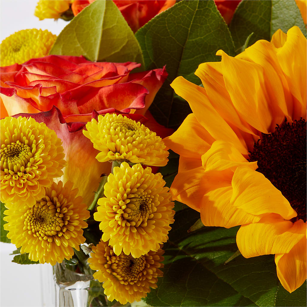 Picnic in the Park Bouquet – SYLVIA'S FLORIST, Antioch CA