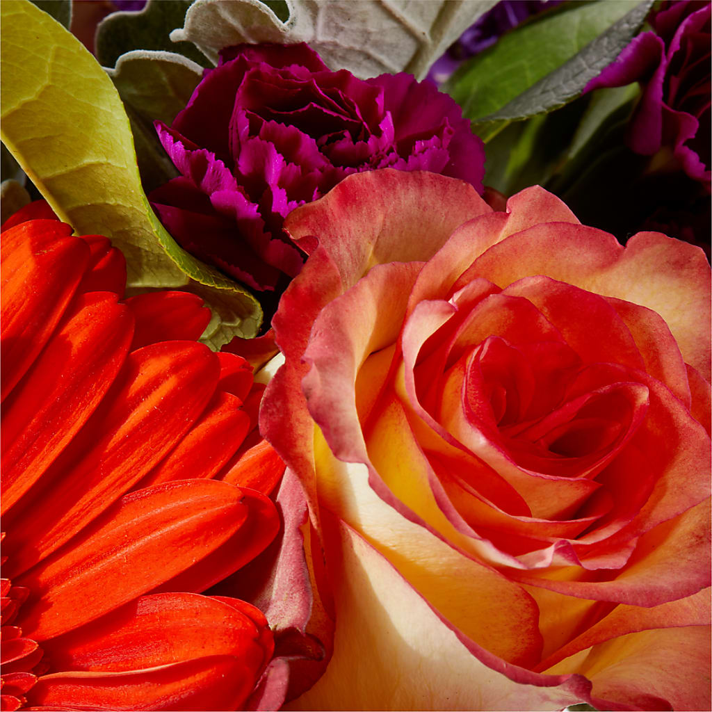Sangria Bouquet – SYLVIA'S FLORIST, Antioch CA